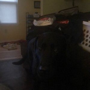 Meet your Posher, Todd